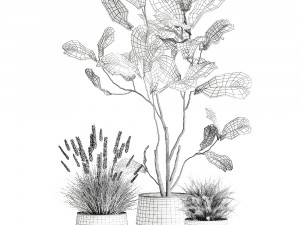 houseplants in a flowerpot for the interior 971 3D Model