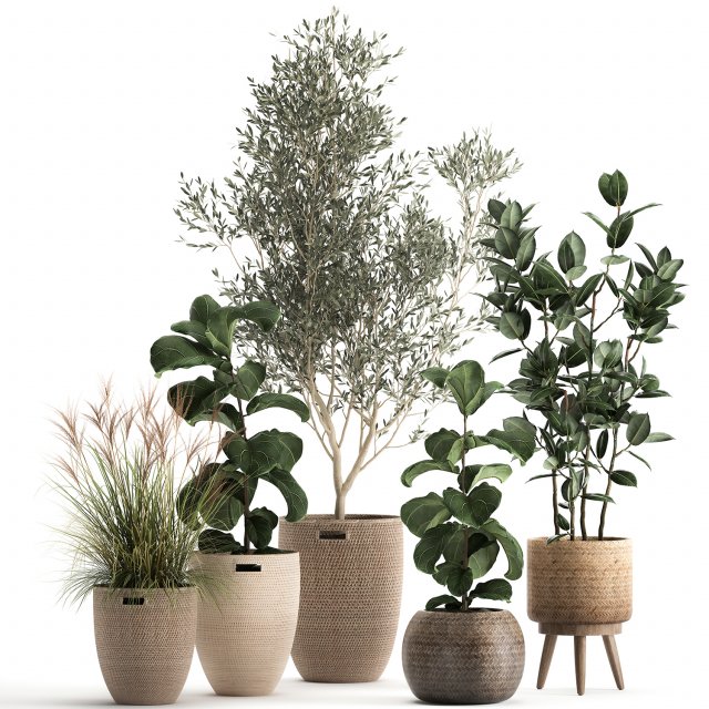 plants in decorative rattan baskets 972 3D 模型 .c4d .max .obj .3ds .fbx .stl .blend 