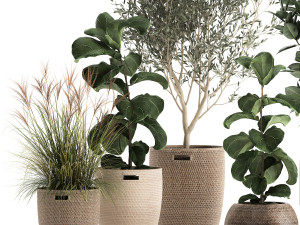 plants in decorative rattan baskets 972 3D 模型