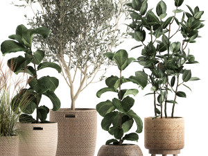 plants in decorative rattan baskets 972 3D 模型