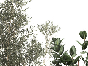 plants in decorative rattan baskets 972 3D 模型