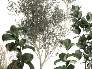 plants in decorative rattan baskets 972 3D 模型