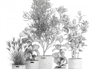 plants in decorative rattan baskets 972 3D 模型