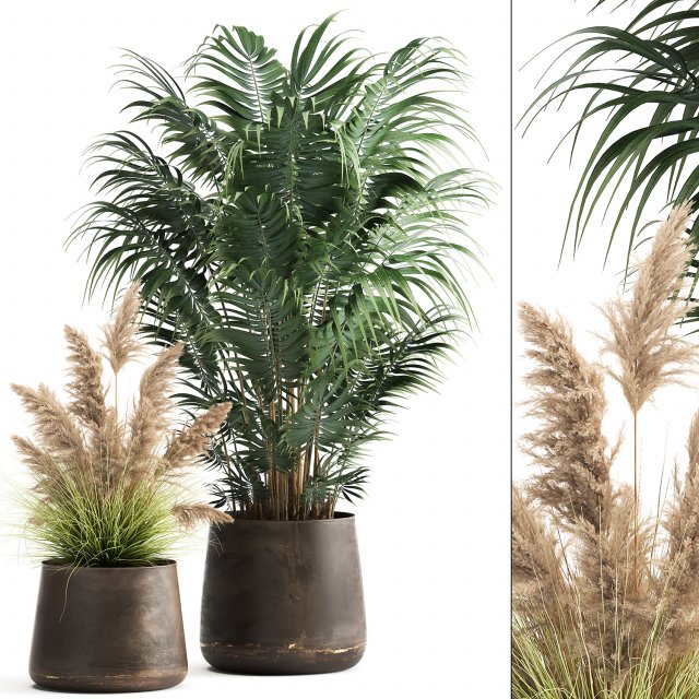 houseplants in a rust flowerpot for the interior 973 Modello 3D .c4d .max .obj .3ds .fbx .stl .blend 