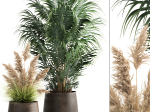 houseplants in a rust flowerpot for the interior 973 3D Model