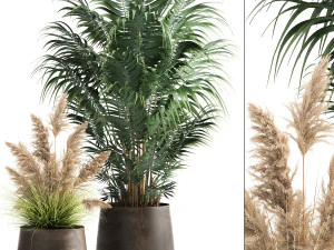 piante d'appartamento in vaso da fiori color ruggine per interni 973 Modello 3D