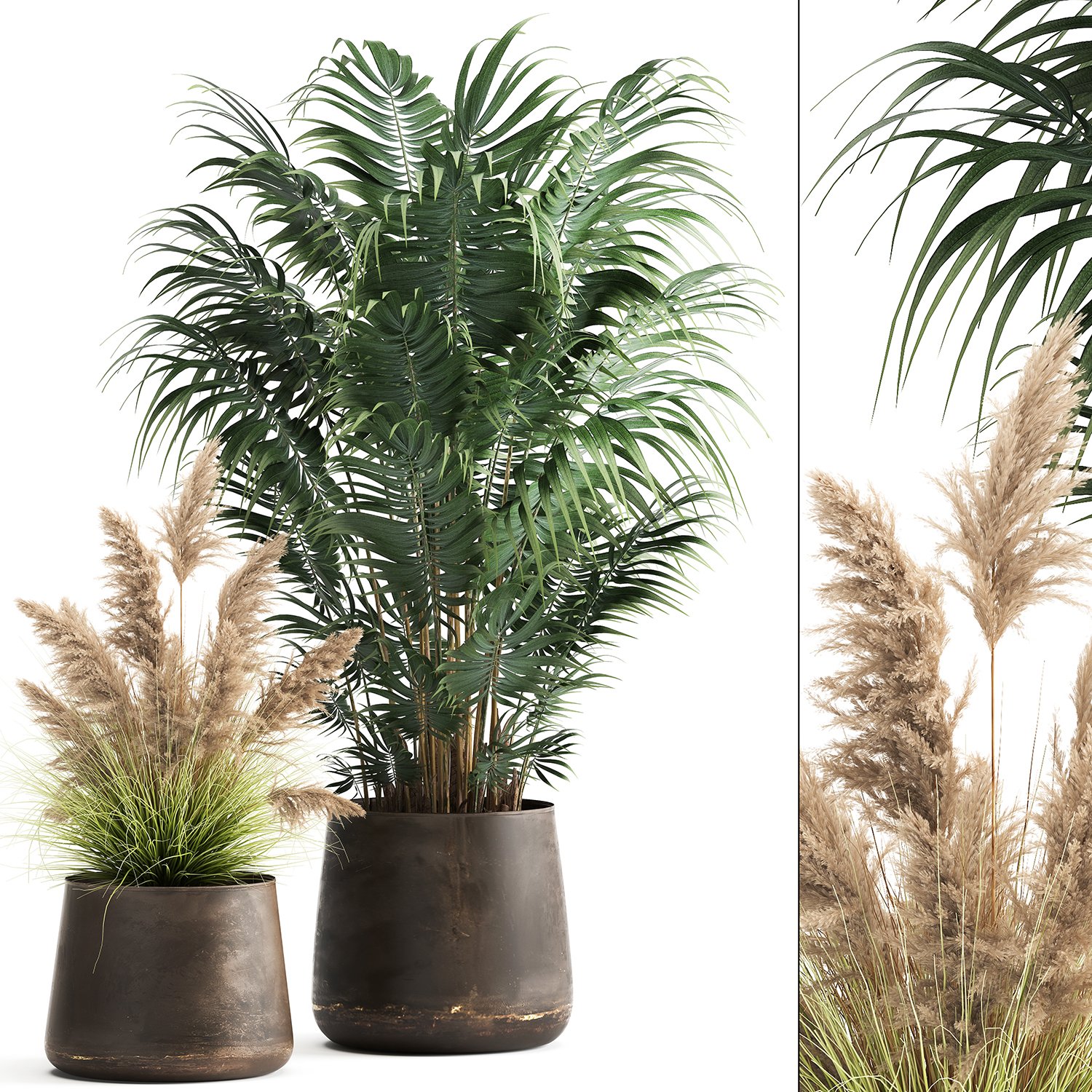 Houseplants In A Rust Flowerpot For The Interior 973 3D Модель In.