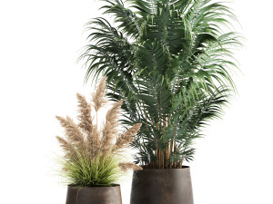 houseplants in a rust flowerpot for the interior 973 Modello 3D