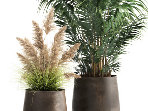 houseplants in a rust flowerpot for the interior 973 Modello 3D