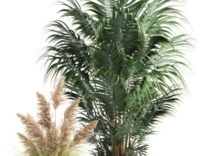 houseplants in a rust flowerpot for the interior 973 Modello 3D