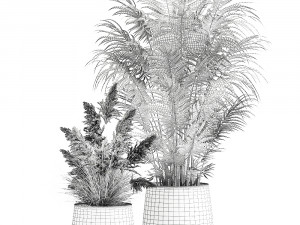 houseplants in a rust flowerpot for the interior 973 Modello 3D