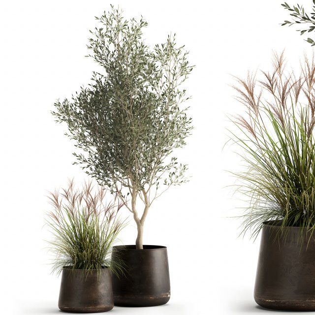 houseplants in a rusty flowerpot for the interior 974 3D Model .c4d .max .obj .3ds .fbx .stl .blend 