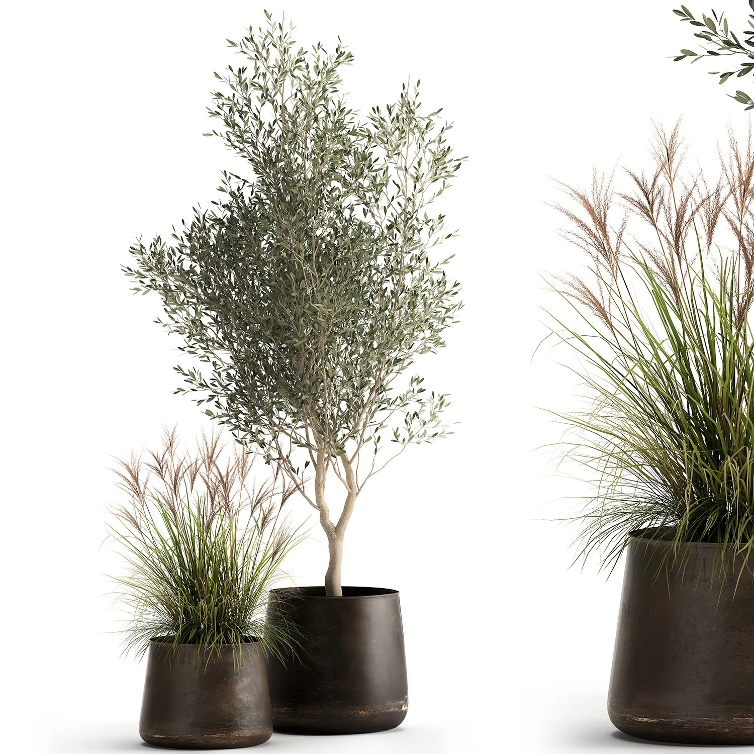 houseplants in a rusty flowerpot for the interior 974 3D Model .c4d .max .obj .3ds .fbx .stl .blend