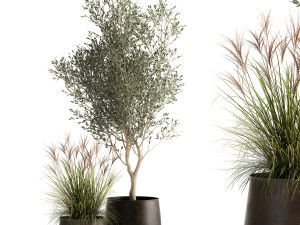 houseplants in a rusty flowerpot for the interior 974 3D Model