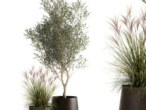 plantes d'int&eacute;rieur dans un pot de fleurs rouill&eacute; pour l'int&eacute;rieur 974 Modèle 3D