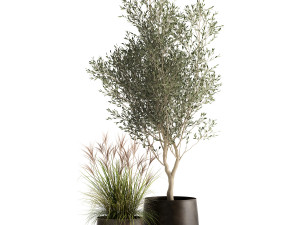 houseplants in a rusty flowerpot for the interior 974 3D Model