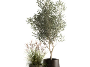 houseplants in a rusty flowerpot for the interior 974 3D Model