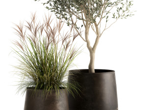 houseplants in a rusty flowerpot for the interior 974 3D Model