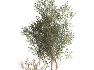 houseplants in a rusty flowerpot for the interior 974 3D Model