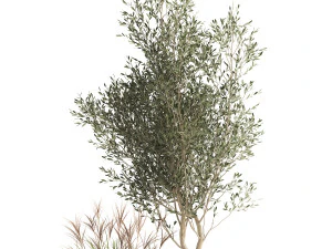 houseplants in a rusty flowerpot for the interior 974 3D Model