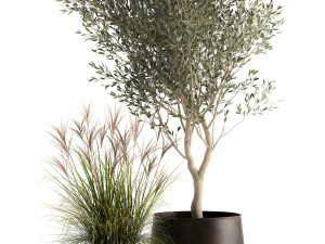 houseplants in a rusty flowerpot for the interior 974 3D Model