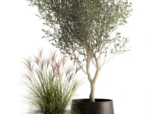 houseplants in a rusty flowerpot for the interior 974 3D Model
