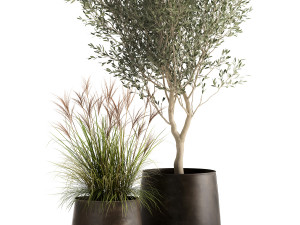 houseplants in a rusty flowerpot for the interior 974 3D Model