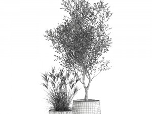 houseplants in a rusty flowerpot for the interior 974 3D Model