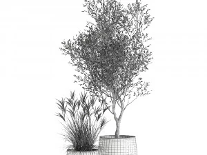 houseplants in a rusty flowerpot for the interior 974 3D Model