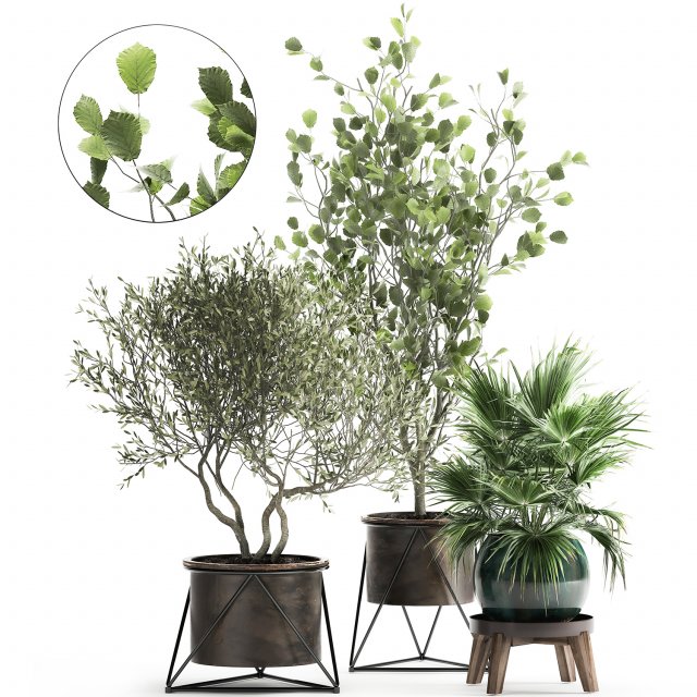 houseplants in a rust flowerpot for the interior 975 Modelo 3D .c4d .max .obj .3ds .fbx .stl .blend 