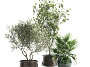 houseplants in a rust flowerpot for the interior 975 Modelo 3D