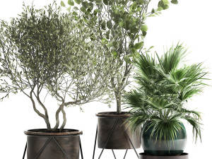 houseplants in a rust flowerpot for the interior 975 Modelo 3D