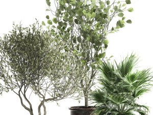 houseplants in a rust flowerpot for the interior 975 Modelo 3D