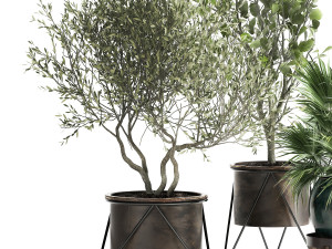 houseplants in a rust flowerpot for the interior 975 Modelo 3D