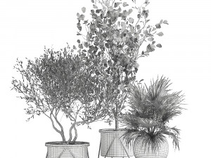 houseplants in a rust flowerpot for the interior 975 Modelo 3D