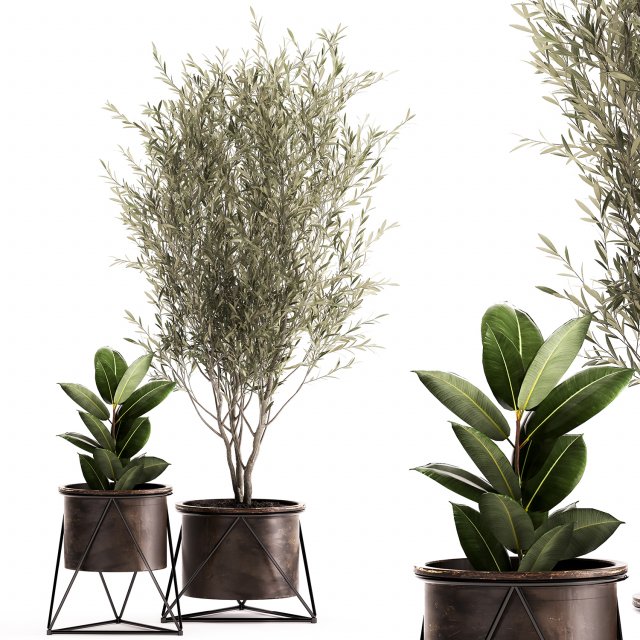 houseplants in a rusty flowerpot for the interior 976 3D Model .c4d .max .obj .3ds .fbx .stl .blend 