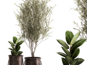 houseplants in a rusty flowerpot for the interior 976 3D Model