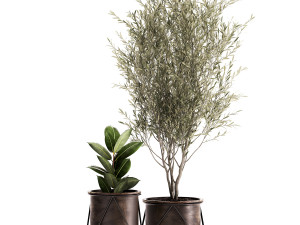houseplants in a rusty flowerpot for the interior 976 3D Model