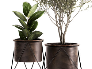 houseplants in a rusty flowerpot for the interior 976 3D Model