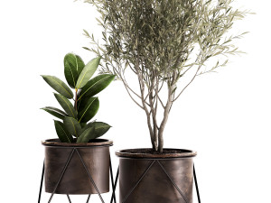 houseplants in a rusty flowerpot for the interior 976 3D Model