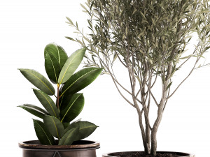houseplants in a rusty flowerpot for the interior 976 3D Model