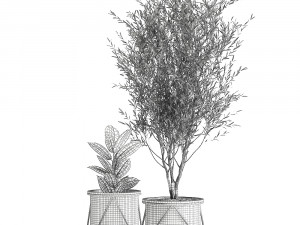 houseplants in a rusty flowerpot for the interior 976 3D Model