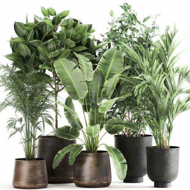 houseplants in a rust flowerpot for the interior 978 Modèle 3D .c4d .max .obj .3ds .fbx .stl .blend 