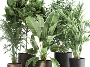 plantas de casa em um vaso de ferrugem para o interior 978 Modelo 3D