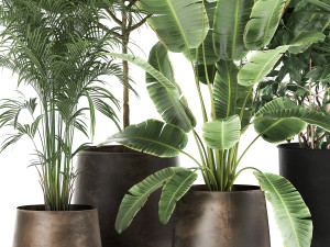houseplants in a rust flowerpot for the interior 978 Modèle 3D