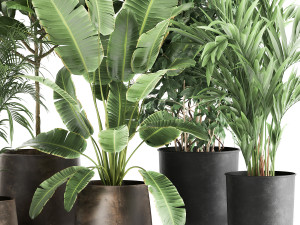 houseplants in a rust flowerpot for the interior 978 Modèle 3D