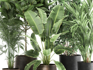 houseplants in a rust flowerpot for the interior 978 Modèle 3D