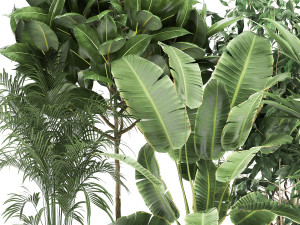 houseplants in a rust flowerpot for the interior 978 Modèle 3D