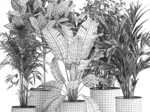 houseplants in a rust flowerpot for the interior 978 Modèle 3D