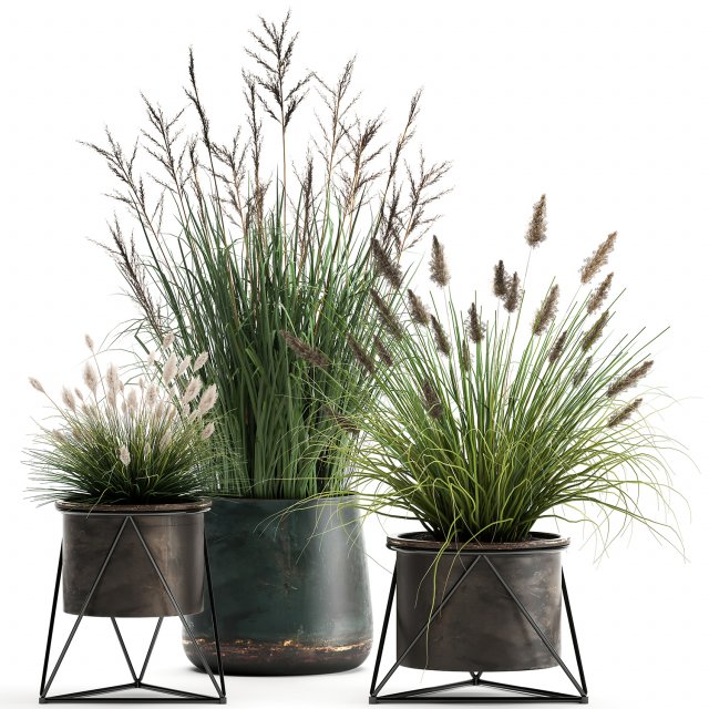 reeds in a rusty flowerpot for the interior 979 3D Model .c4d .max .obj .3ds .fbx .stl .blend 